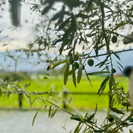 منتجع Relax Della Valle