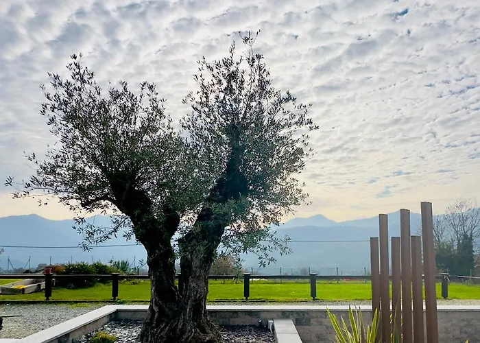 Relax Della Valle Coassolo Torinese