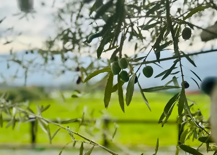 Rezort Relax Della Valle